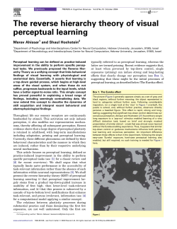 The reverse hierarchy theory of visual perceptual