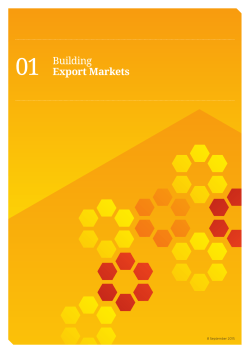 The Business Growth Agenda - Building Export Markets