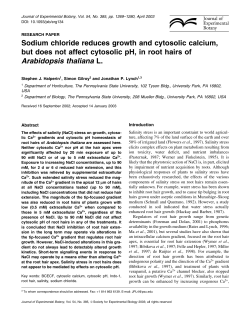 Sodium chloride reduces growth and cytosolic calcium, but does not