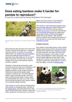 Does eating bamboo make it harder for pandas to
