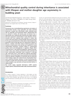 Mitochondrial quality control during inheritance is associated with