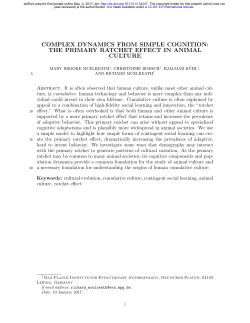 Complex Dynamics From Simple Cognition: The Primary