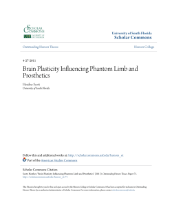 Brain Plasticity Influencing Phantom Limb and Prosthetics