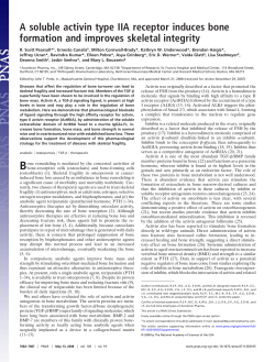 A soluble activin type IIA receptor induces bone formation and