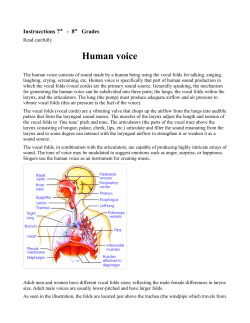 Human voice