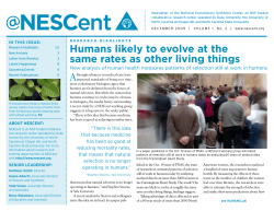 Humans likely to evolve at the same rates as other living things