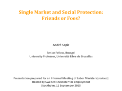 Single Market and Social Protection: Friends or Foes?