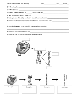 Genes, Chromosomes, and Heredity 1. Define Heredity. 2. Defi