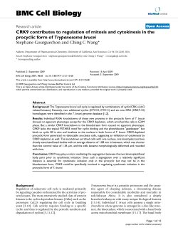 CRK9 contributes to regulation of mitosis and cytokinesis in the
