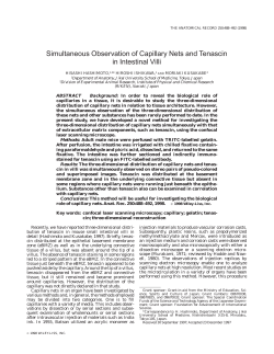 Simultaneous observation of capillary nets and