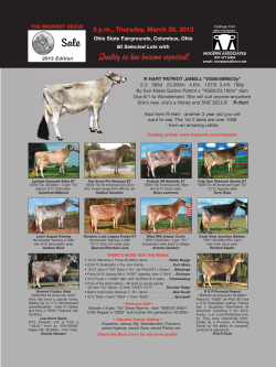 Quality as has become expected!