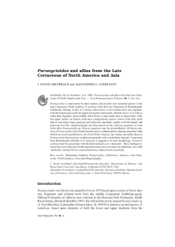 Paranyctoides and allies from the Late Cretaceous of North America
