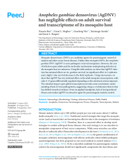 Anopheles gambiae densovirus (AgDNV) has negligible effects on