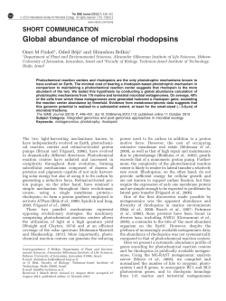 Global abundance of microbial rhodopsins
