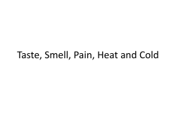 Taste and Smell