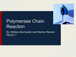 Polymerase Chain Reaction