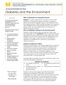 Diabetes and the Environment