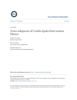 A new subspecies of Crotalus lepidus from western Mexico