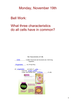 Monday, November 19th Bell Work: What three characteristics do all