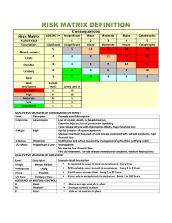 RISK MATRIX DEFINITION