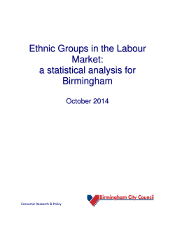 Ethnic Groups in the Labour Market: a statistical analysis for