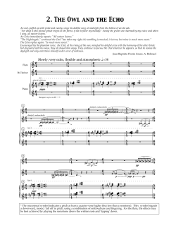 2. The Owl and the Echo - Karim Al-Zand