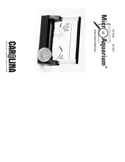 Micr Aquarium - Building The Pride