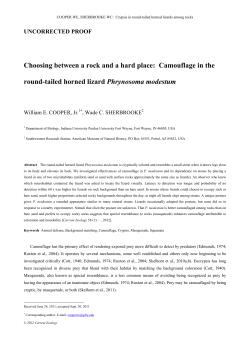 Choosing between a rock and a hard place: Camouflage in the