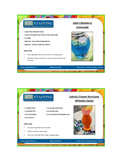 Julie`s Blueberry Lemonade Leticia`s Frozen Hurricane