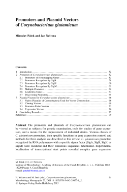 Promoters and Plasmid Vectors of Corynebacterium