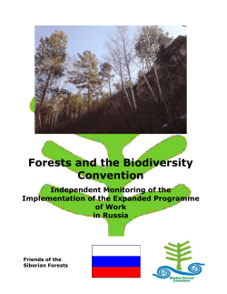 Russia - Global Forest Coalition