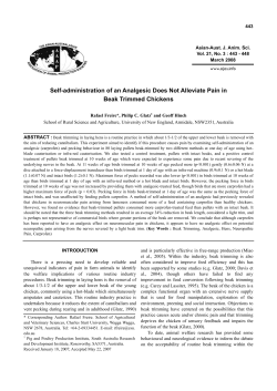 Self-administration of an Analgesic Does Not Alleviate Pain in Beak