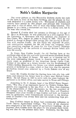 Noble`s Golden Marguerite