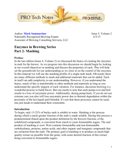 Enzymes in Brewing Series Part 2- Mashing