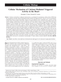 Cellular mechanism of calcium-mediated triggered activity in the