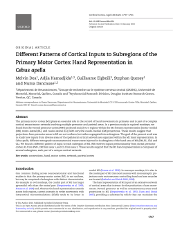 PDF - Oxford Academic - Oxford University Press