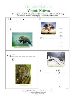 PDF link to Activities