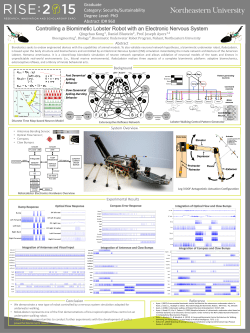 Controlling a Biomimetic Lobster Robot with an Electronic Nervous