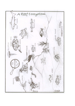 1.3 the food web connection