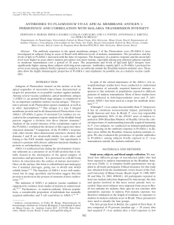antibodies to plasmodium vivax apical membrane antigen 1