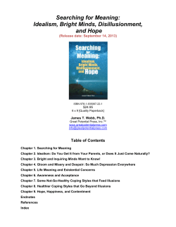 Searching for Meaning: Idealism, Bright Minds, Disillusionment, and