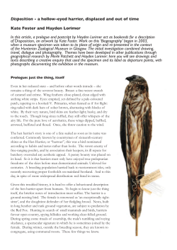 a hollow eyed harrier PDF
