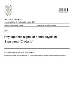Phylogenetic signal of nematocysts in Staurozoa (Cnidaria)