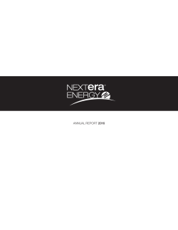 NEE-FPL 2016 10-K - NextEra Energy, Inc.