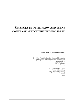 Changes in Optic Flow and Scene Contrast Affect the Driving Speed