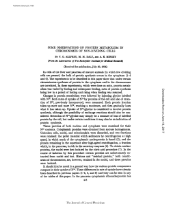 SOME OBSERVATIONS ON PROTEIN METABOLISM IN