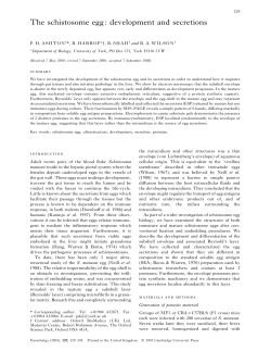 The schistosome egg: development and secretions
