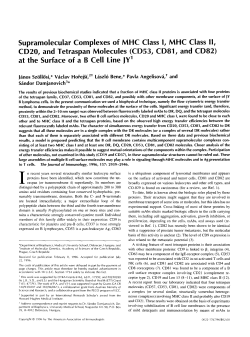 Supramolecular Complexes of MHC Class I, M H C Class II, CD20