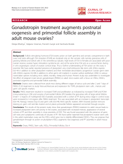 Gonadotropin treatment augments postnatal oogenesis and