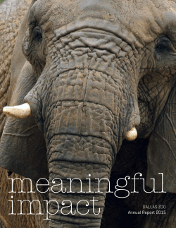 impact DALLAS ZOO Annual Report 2015